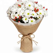 Букет цветов из:  Хризантемы #REPLACE_PRED# Станция Скуратово