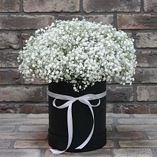 Цветочная композиция из Гипсофила в шляпной коробке #REPLACE_PRED# Станция Скуратово