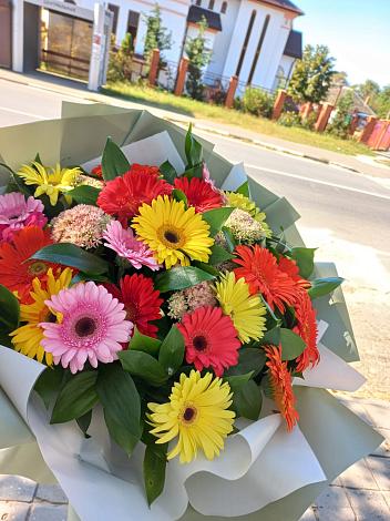 Букет цветов из: Герберы в Станция Скуратово